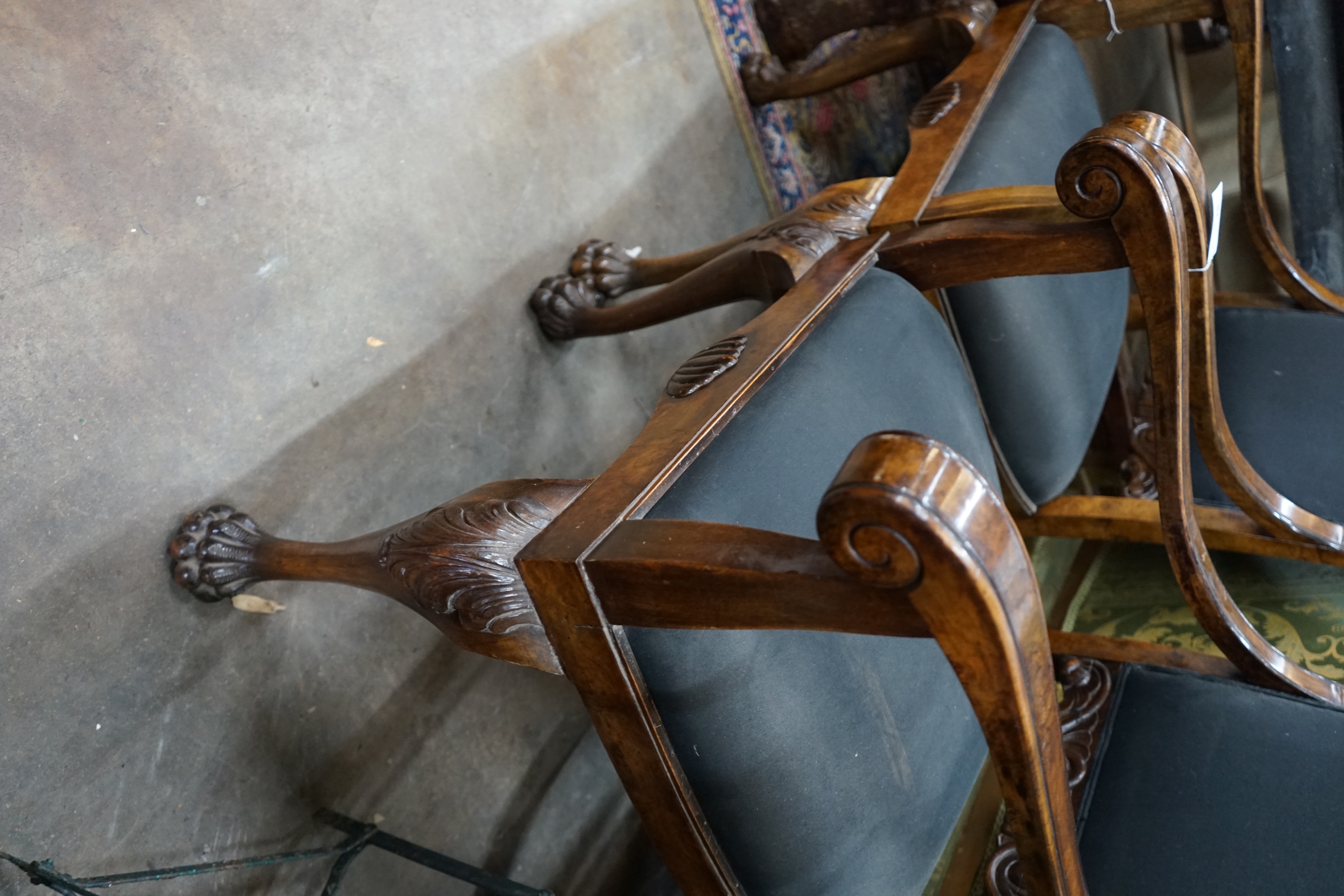 A pair of George II style burr walnut elbow chairs, on lions paw feet, width 58cm, depth 70cm, height 112cm